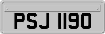 PSJ1190