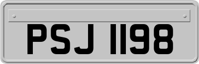 PSJ1198