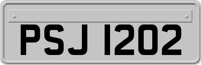 PSJ1202