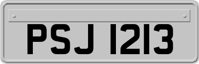 PSJ1213