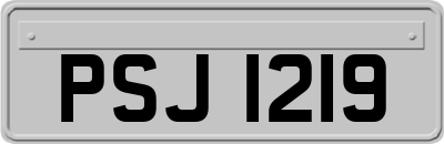 PSJ1219
