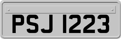 PSJ1223