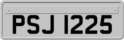 PSJ1225