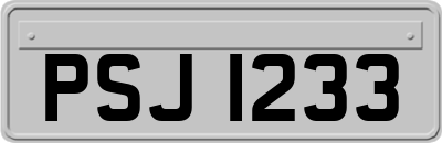 PSJ1233