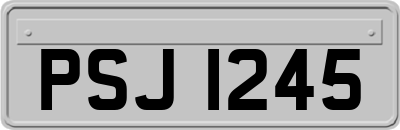 PSJ1245