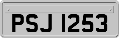 PSJ1253