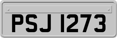 PSJ1273