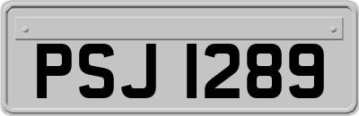 PSJ1289