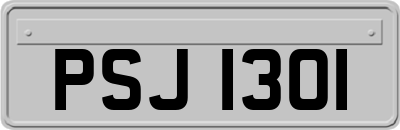 PSJ1301