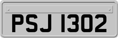 PSJ1302