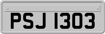 PSJ1303