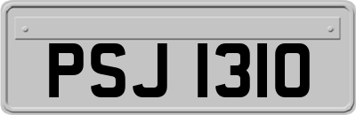 PSJ1310