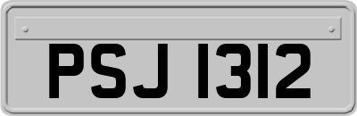 PSJ1312