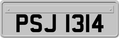 PSJ1314