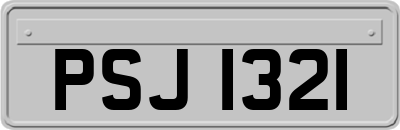 PSJ1321