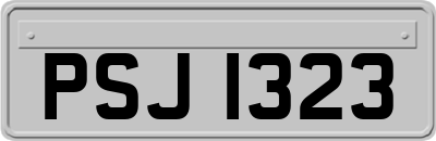 PSJ1323