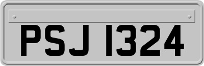 PSJ1324