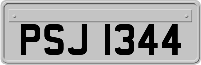 PSJ1344