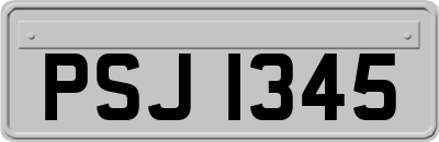 PSJ1345