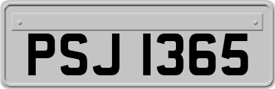 PSJ1365