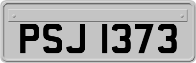 PSJ1373