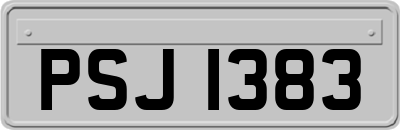 PSJ1383