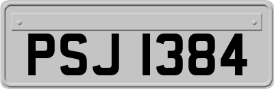 PSJ1384
