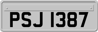 PSJ1387