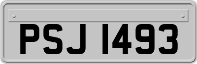 PSJ1493