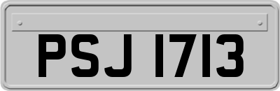 PSJ1713