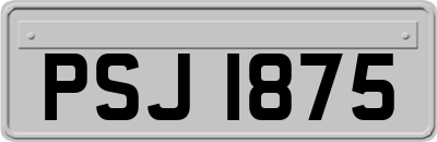 PSJ1875