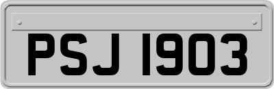 PSJ1903