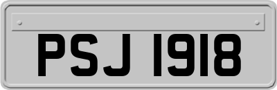 PSJ1918