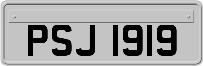 PSJ1919
