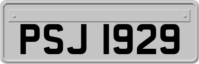 PSJ1929