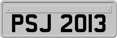 PSJ2013