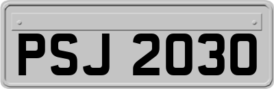 PSJ2030
