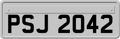 PSJ2042