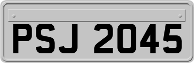 PSJ2045