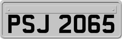 PSJ2065