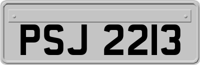 PSJ2213