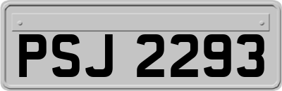 PSJ2293