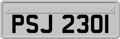 PSJ2301