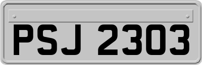 PSJ2303