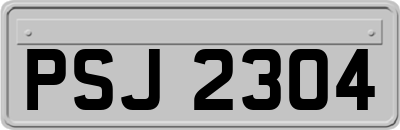PSJ2304