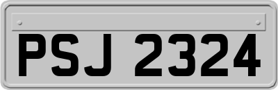 PSJ2324