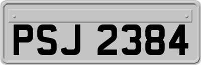 PSJ2384