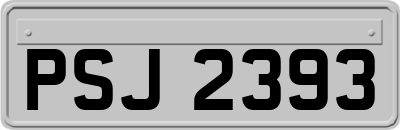 PSJ2393