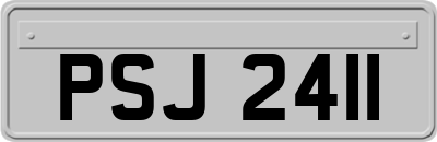 PSJ2411