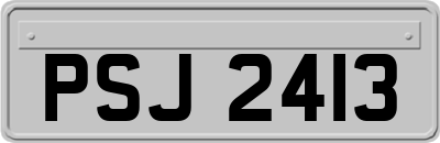 PSJ2413